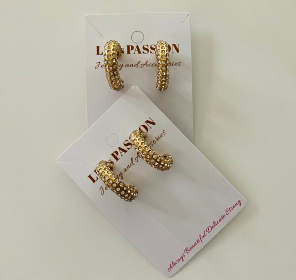 IMG_0938 M Beatiful Hoops