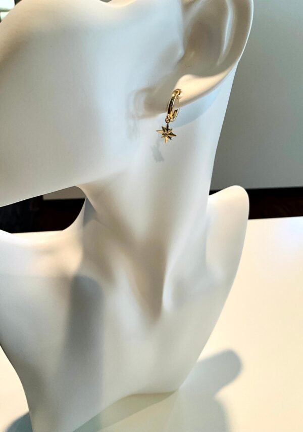 IMG_0950-1.jpg Tiny Hoops with Stars