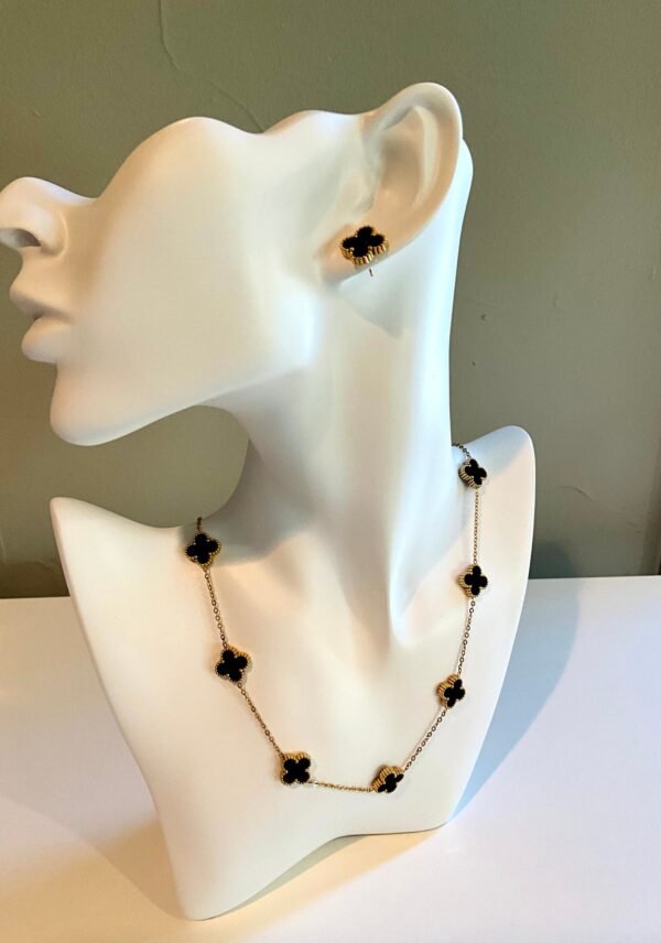 IMG_0929.jpg G Flower & Flowers Onyx