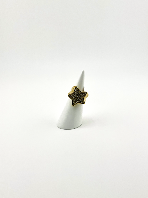 IMG_4690 Prettyish Star is our Rings from Trendy of Gold Ways Collection