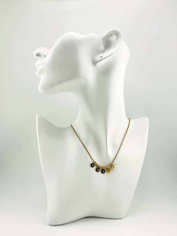 20240123_IMG_1331 Daisies