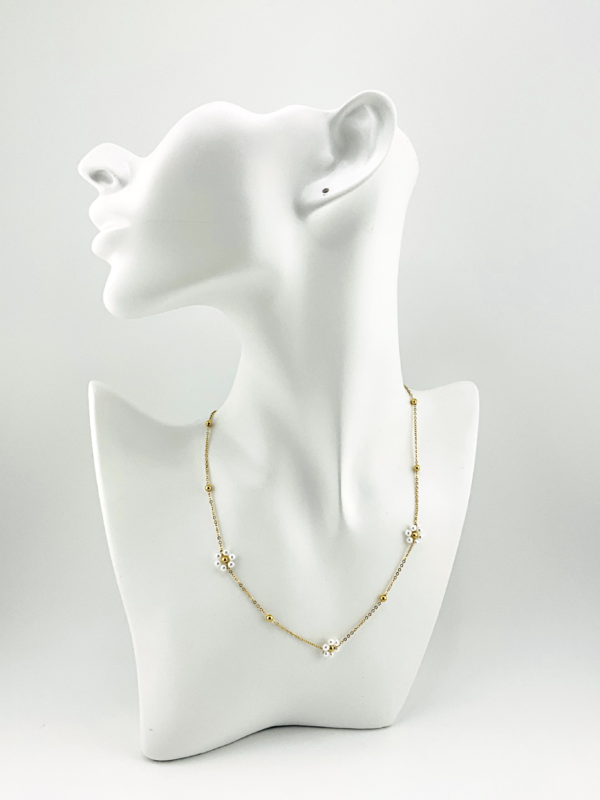 20240123_IMG_1498 Pearly Daisies