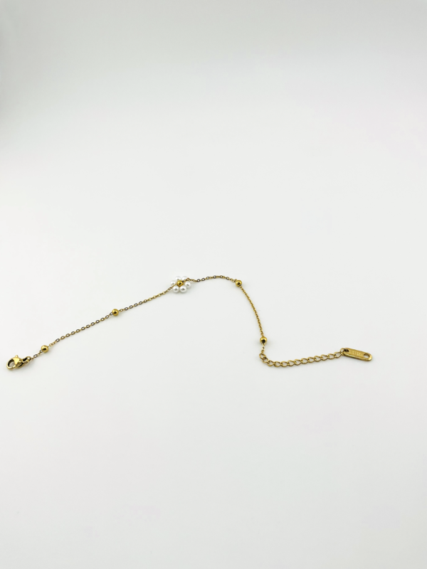 20240123_IMG_1502 Pearly Daisies