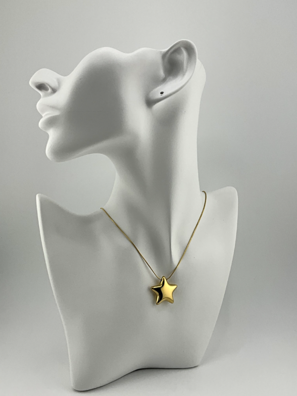 IMG_7886 Goldy Star is our Necklace from Star of Constellation Collection
