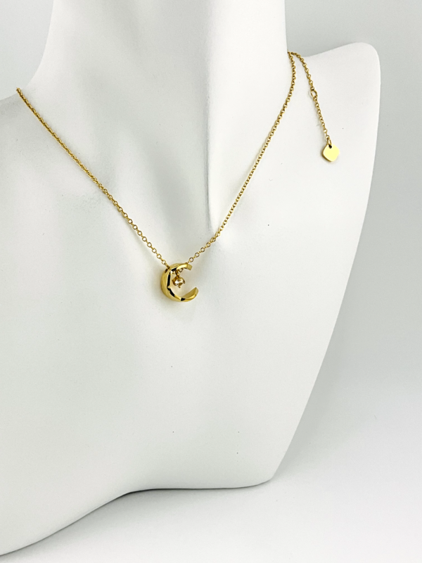20250121_IMG_6880 Unique Gold Crescent Necklace from our in Fashion Jewelry Collection