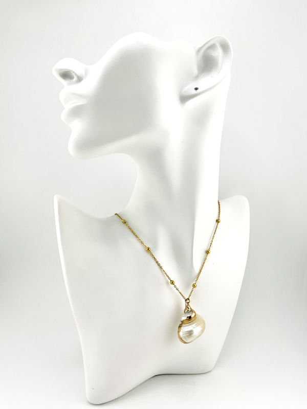 Seashell Symphony: Indulge in this Top Trending Jewelry of the Embrace of the Heart Collection